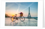 Bicycle and Eiffel tower by Assaf Frank
